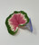 Tiny 3" Soft Betta Hammock!! 1-leaf Pink & Green Caladium Silk Betta safe Plant, SUCTION CUP base, Lower Forty Farm artificial aquarium plant