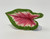 Tiny 3" Soft Betta Hammock!! 1-leaf Pink & Green Caladium Silk Betta safe Plant, SUCTION CUP base, Lower Forty Farm artificial aquarium plant