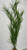 28 in. THICK 3-stem Curly SEA GRASS WILLOW Soft flowing Plastic Wireless Plant, Stone Base, Lower Forty Farm, unique handmade realistic natural-looking artificial aquarium plant 28 in. THICK 3-stem Curly SEA GRASS WILLOW Soft flowing Plastic Wireless Plant, Stone Base, Lower Forty Farm, unique handmade realistic natural-looking artificial aquarium plant
