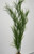 28 in. THICK 3-stem Curly SEA GRASS WILLOW Soft flowing Plastic Wireless Plant, Stone Base, Lower Forty Farm, unique handmade realistic natural-looking artificial aquarium plant