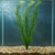 28 in. THICK 3-stem Curly SEA GRASS WILLOW Soft flowing Plastic Wireless Plant, Stone Base, Lower Forty Farm, unique han