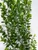 26" XL 3-stem Green BACOPA Soft Plastic Wireless Plant, Stone Base, Lower Forty Farm, unique handmade realistic natural-looking artificial aquarium plant