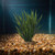 15" Medium THICK 6-stem WILD GRASS Soft Plastic Plant, Stone Base, Lower Forty Farm, unique handmade realistic natural-l