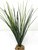 13 in. Extra THICK Green-White SPIKE Weed Grass Thick Realistic Artificial Aquarium plastic plant, stone base, Lower Forty Farm standing wireless artificial aquarium plant 13 in. Extra THICK Green-White SPIKE Weed Grass Thick Realistic Artificial Aquarium plastic plant, stone base, Lower Forty Farm standing wireless artificial aquarium plant