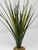 13 in. Extra THICK Green-Red SPIKE Weed Grass Thick Realistic Artificial Aquarium plastic plant, stone base, Lower Forty Farm stiff standing non-wired artificial aquarium plant
