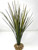 13 in. Extra THICK Green-Red SPIKE Weed Grass Thick Realistic Artificial Aquarium plastic plant, stone base, Lower Forty Farm stiff standing non-wired artificial aquarium plant