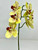 14" tall Orchid standing straight 14" tall Orchid standing straight