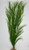 28 in. EXTRA THICK 4-stem Curly SEA GRASS WILLOW Soft flowing Plastic Wireless Plant, Stone Base, Lower Forty Farm, unique handmade realistic natural-looking artificial aquarium plant 28 in. EXTRA THICK 4-stem Curly SEA GRASS WILLOW Soft flowing Plastic Wireless Plant, Stone Base, Lower Forty Farm, unique handmade realistic natural-looking artificial aquarium plant