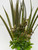 10" BROWN Vanilla SWORD Grass & Brown BOXWOOD combo plant 803A, stone base, Realistic Artificial Aquarium plastic plant, Lower Forty Farm unique combination artificial aquarium plant arrangement