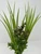 10" Lt Green Vanilla SWORD Grass & Brown BOXWOOD combo plant 803B, stone base, Realistic Artificial Aquarium plastic plant, Lower Forty Farm unique combination artificial aquarium plant arrangement