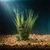 10" Lt Green Vanilla SWORD Grass & Brown BOXWOOD combo plant 803B, stone base, Realistic Artificial Aquarium plastic pla