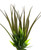 10" BROWN Vanilla SWORD Grass & BAMBOO combo plant 806, stone base, Realistic Artificial Aquarium plastic plant, Lower Forty Farm unique combination artificial aquarium plant arrangement