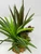 10" Brown SWORD Grass, Dk Green DRACAENA & Brown BOXWOOD 816 combo plant, stone base, Goldfish & Betta-safe plant, Lower Forty Farm artificial aquarium plant