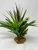 10" Brown SWORD Grass, Dk Green DRACAENA & Brown BOXWOOD 816 combo plant, stone base, Goldfish & Betta-safe plant, Lower Forty Farm artificial aquarium plant