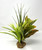 13" Green Spike Weed Grass, Lt Green DRACAENA & CROTON combo plant 807, stone base, Realistic Artificial Aquarium plastic plant, Lower Forty Farm unique combination artificial aquarium plant arrangement