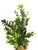 8" BOXWOOD COMBO 822: Brown boxwood, Dk Green Boxwood & Sage boxwood, stone base, Realistic Artificial Aquarium plastic plant, Lower Forty Farm unique combination