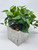 9" MED Potted faux Green Pothos Vine Silk plant in White wood box, handmade original by Lower Forty Farm, OOAK unique gift, home office decor