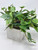 9" MED Potted faux Green Pothos Vine Silk plant in White wood box, handmade original by Lower Forty Farm, OOAK unique gift, home office decor