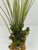 13" Olive Spike Weed & Brown Boxwood Mix Combo 818D, Stone base, Realistic Artificial Aquarium Soft plastic plant, Lower Forty Farm unique combination artificial aquarium plant arrangement