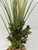 13" Olive Spike Weed & Brown Boxwood Mix Combo 818D, Stone base, Realistic Artificial Aquarium Soft plastic plant, Lower Forty Farm unique combination artificial aquarium plant arrangement