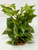 7"x 5" MEDIUM Green/White POTHOS Bush, soft silk plant in stone base, Goldfish & Betta-safe plant, Lower Forty Farm artificial aquarium plant