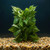7"x 5" MEDIUM Green/White POTHOS Bush, soft silk plant in stone base, Goldfish & Betta-safe plant, Lower Forty Farm arti