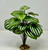 9" Medium WATERMELON PEPEROMIA soft silk Aquarium Plant, Stone Base, Goldfish & Betta-safe plant, Lower Forty Farm artificial aquarium plant