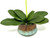 21" Lg Artificial Purple PHALAENOPSIS ORCHID faux Silk flower plant potted in Copper Pot, handmade original by filled artificial planter by Lower Forty Farm, OOAK unique gift, home office decor 21" Lg Artificial Purple PHALAENOPSIS ORCHID faux Silk flower plant potted in Copper Pot, handmade original by filled artificial planter by Lower Forty Farm, OOAK unique gift, home office decor