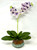 21" Lg Artificial Purple PHALAENOPSIS ORCHID faux Silk flower plant potted in Copper Pot, handmade original by filled artificial planter by Lower Forty Farm, OOAK unique gift, home office decor 21" Lg Artificial Purple PHALAENOPSIS ORCHID faux Silk flower plant potted in Copper Pot, handmade original by filled artificial planter by Lower Forty Farm, OOAK unique gift, home office decor