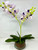 21" Lg Artificial Purple PHALAENOPSIS ORCHID faux Silk flower plant potted in Copper Pot, handmade original by filled artificial planter by Lower Forty Farm, OOAK unique gift, home office decor 21" Lg Artificial Purple PHALAENOPSIS ORCHID faux Silk flower plant potted in Copper Pot, handmade original by filled artificial planter by Lower Forty Farm, OOAK unique gift, home office decor