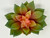3.5" wide Green-Peach Orange ECHEVERIA Succulent Aquarium or Dry Habitat soft plastic Plant, Stone Base, Lower Forty Farm, unique handmade realistic natural-looking artificial aquarium plant