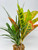 13" Green Spike Weed Grass, Dark Green DRACAENA & CROTON 807B combo plant, stone base, Realistic Artificial Aquarium plastic plant, Lower Forty Farm unique combination