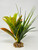 13" Green Spike Weed Grass, Dark Green DRACAENA & CROTON 807B combo plant, stone base, Realistic Artificial Aquarium plastic plant, Lower Forty Farm unique combination