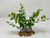 6" Pea Leaf aquarium plant & CLEAR PINK AGATE Geode Slice, Stone Base 827PK-1, Stone base, Realistic Artificial Aquarium Plastic plant, Lower Forty Farm unique combination artificial aquarium plant arrangement 6" Pea Leaf aquarium plant & CLEAR PINK AGATE Geode Slice, Stone Base 827PK-1, Stone base, Realistic Artificial Aquarium Plastic plant, Lower Forty Farm unique combination artificial aquarium plant arrangement