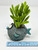 5.5" Potted BUBBLES Blue FISH Blob House Mini pot WITH faux succulent as shown, handmade original filled artificial planter by Lower Forty Farm, OOAK unique gift, home office decor