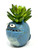 3.5" Potted Blue Monster MURPHY Blob House Mini pot WITH faux PLANT as shown, handmade original filled artificial planter by Lower Forty Farm, OOAK unique gift, home office decor