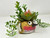 4.5" Potted YELLOW Blob House Beautiful Birds pot WITH soft faux Peach-Green Echeveria Succulent, handmade by Lower Forty Farm, unique gift, home office decor