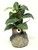 5" POTTED Baby WOODPECKER Mini Blob House pot WITH faux silk Green Fittonia plant, handmade original by filled artificial planter by Lower Forty Farm, OOAK unique gift, home office decor