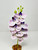 12" PURPLE Lavender Phalaenopsis DOUBLE ORCHID Soft Silk Aquarium flower plant, Stone base, Goldfish & Betta-safe plant, Lower Forty Farm artificial aquarium plant