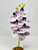 12" PURPLE Lavender Phalaenopsis DOUBLE ORCHID Soft Silk Aquarium flower plant, Stone base, Goldfish & Betta-safe plant, Lower Forty Farm artificial aquarium plant
