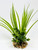 10" Light Green Vanilla SWORD Grass & Dark Green BOXWOOD combo plant 805B, stone base, Realistic Artificial Aquarium plastic plant, Lower Forty Farm unique combination