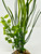 MIXED Combo 11" plastic WILLOW Grass & Pea Leaf Aquarium Plant 842, Stone base, Realistic Artificial Aquarium plastic plant, Lower Forty Farm unique combination artificial aquarium plant arrangement