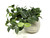 Small 6" Artificial GREEN FITTONIA NERVE faux Silk plant potted in Cream-Gray Ceramic Pot, handmade original by filled artificial planter by Lower Forty Farm, OOAK unique gift, home office decor