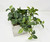 Small 8" tall Artificial GREEN FITTONIA NERVE Silk plant potted, White-washed wooden box, handmade original by filled artificial planter by Lower Forty Farm, OOAK unique gift, home office decor