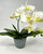 15" Lg WHITE Phalaenopsis ORCHID silk flower planter, 4" Blue ceramic footed pot, handmade original by Lower Forty Farm, OOAK unique gift, home office decor