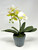 15" Lg WHITE Phalaenopsis ORCHID silk flower planter, 4" Blue ceramic footed pot, handmade original by Lower Forty Farm, OOAK unique gift, home office decor