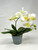 15" Lg WHITE Phalaenopsis ORCHID silk flower planter, 4" Blue ceramic footed pot, handmade original by Lower Forty Farm, OOAK unique gift, home office decor
