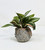 5" POTTED Coral Sushi BLOW FISH Blob House Mini pot WITH faux Jew plant as shown, handmade original by filled artificial planter by Lower Forty Farm, OOAK unique gift, home office decor