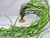 42" JUMBO SEAWEED Thick Sea Grass Flowing Plastic Plant, Stone Base, Lower Forty Farm, unique handmade realistic natural-looking artificial aquarium plant