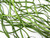 42" JUMBO SEAWEED Thick Sea Grass Flowing Plastic Plant, Stone Base, Lower Forty Farm, unique handmade realistic natural-looking artificial aquarium plant